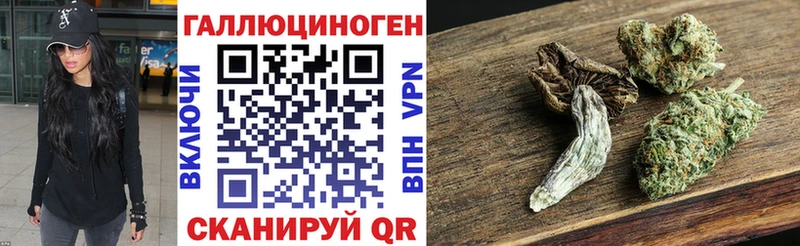 Псилоцибиновые грибы GOLDEN TEACHER  Мыски 