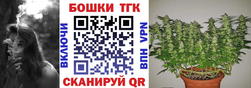 купить наркоту  дарк нет Telegram  МАРИХУАНА сатива  Мыски 